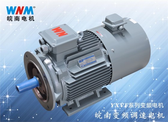皖南变频电机 皖南变频电机