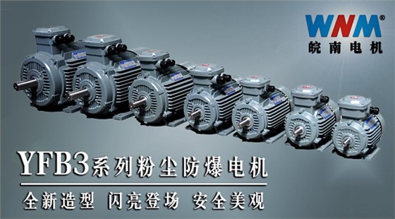 皖南电机YFB3全新系列粉尘防爆电机 皖南电机YFB3全新系列粉尘防爆电机