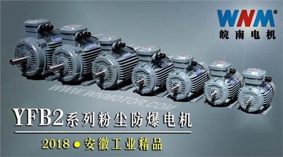 YFB2系列粉尘防爆型电机入选2018年安徽工业精品名单 YFB2系列粉尘防爆型电机入选2018年安徽工业精品名单