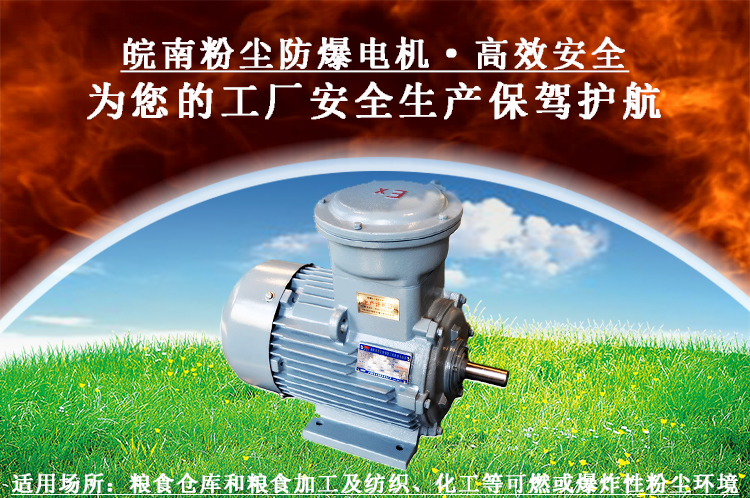 粉尘防爆电机 粉尘防爆电机