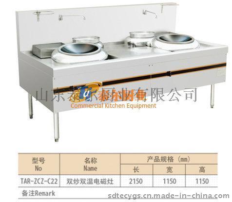泰尔双炒双温电磁灶全国招商 净化设备 烧烤设备 厨房设备